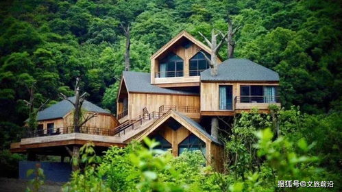 乡村振兴背景下康养文旅大会与度假产业的融合发展之路